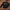 121