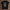 holz Flatlay mockup schwarz