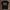 holz Flatlay mockup schwarz