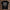 holz Flatlay mockup schwarz