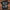 Gildan Basic Shirt mockup schwarz